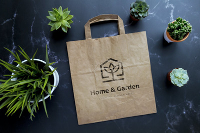 纸牛皮纸袋与植物模型 (PSD)