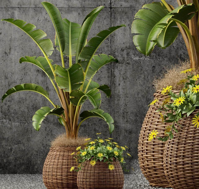 竹筐花瓶绿植3D模型下载 (MAX,FBX,OBJ,TEX)