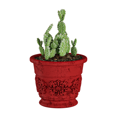 仙人掌盆景3D模型（OBJ,FBX,MAX）