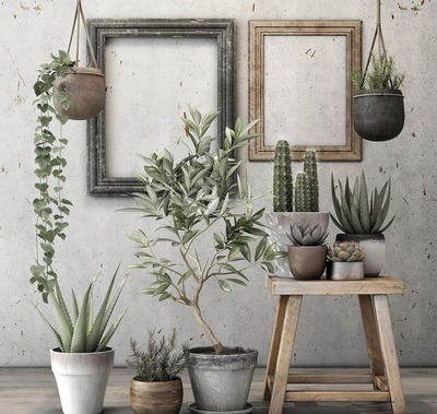 仙人掌室内绿植3D模型下载 (MAX,FBX,OBJ,TEX)