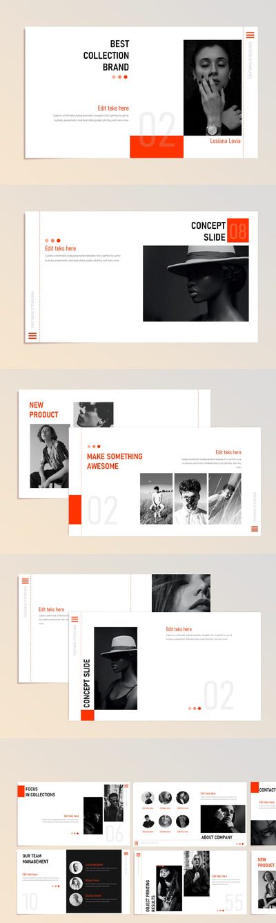 精美幻灯片设计模板(PPTX)