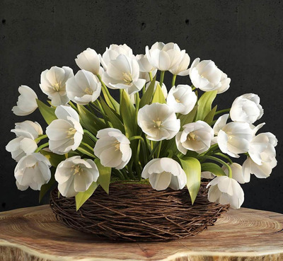 春天的在鸟巢的郁金香花卉3D模型下载 (MAX,FBX,OBJ,TEX)