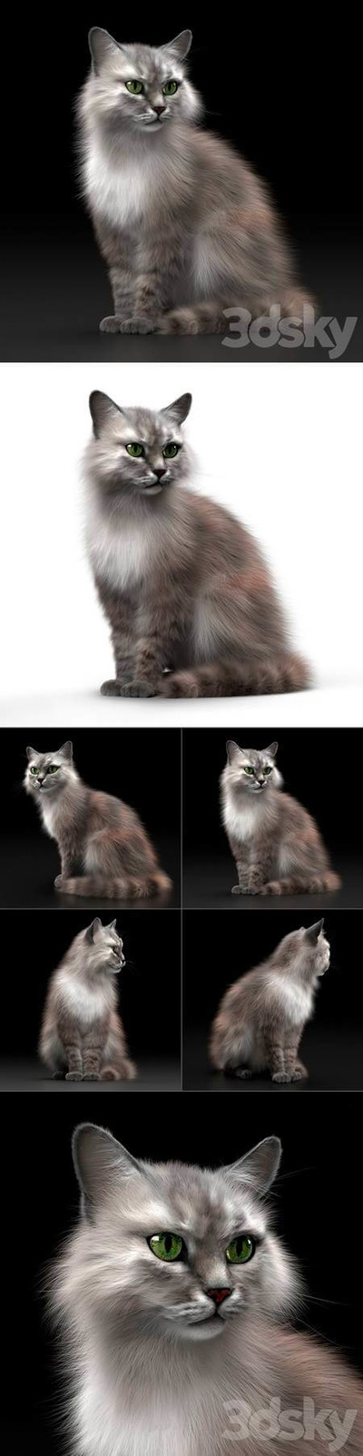 猫3D模型（OBJ,FBX）