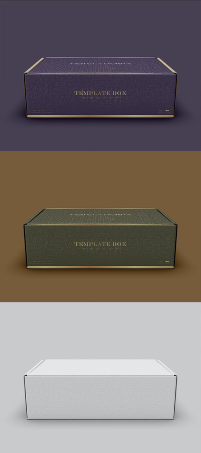 纸板箱模型样机 (PSD)