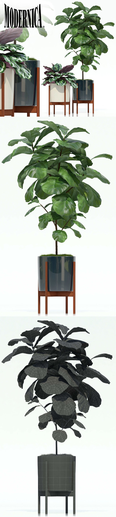 办公室绿植大合集3D模型下载 (fbx,max)