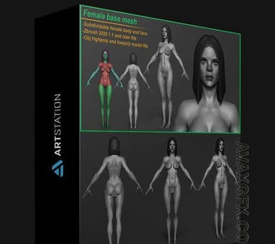 Zbrush女性基础人体3D模型下载 (OBJ,ZTL)