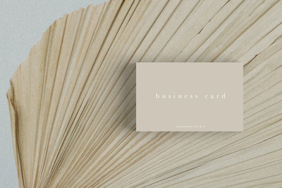 典雅的名片设计模型#20 (PSD,JPG)