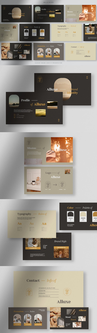 Alluxe - 优雅品牌标识手册PPT模板 (PPT,PPTX)