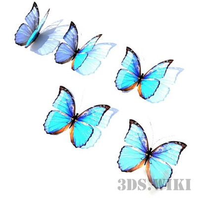 蝴蝶3D模型（FBX,MAX）