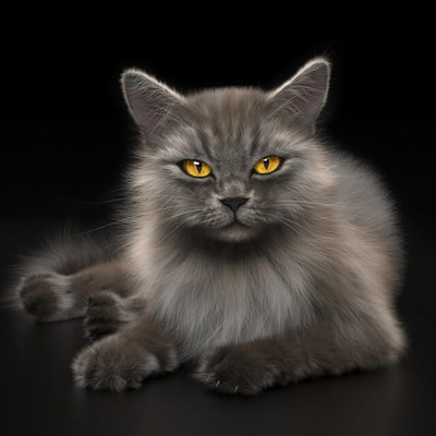 毛绒绒的灰色猫3D模型（OBJ,FBX,MAX）