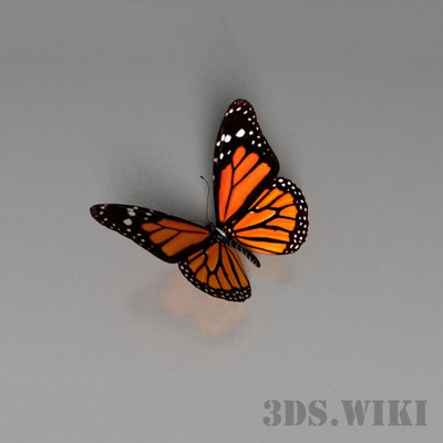 橙色蝴蝶3D模型（FBX,MAX）