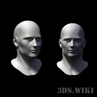 成年男性的头部3D模型（FBX,MAX）