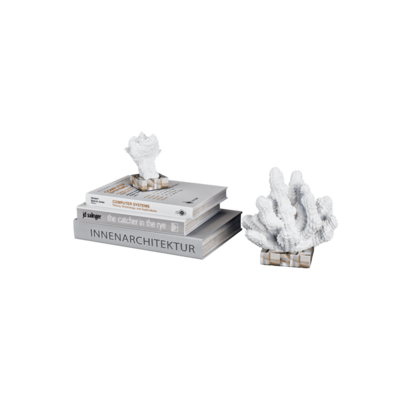 书和珊瑚装饰品3D模型（OBJ,FBX,MAX）