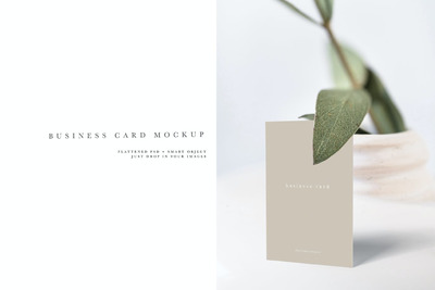 高端商务名片展示场景模型 #78 (PSD,JPG,PDF)