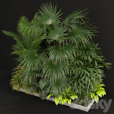 花坛里的多种植物3D模型（FBX,MAX）