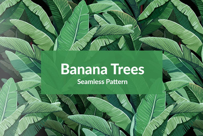 抽象芭蕉叶图案背景