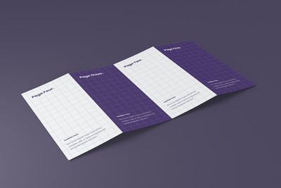 透视角度折页样机 (PSD)