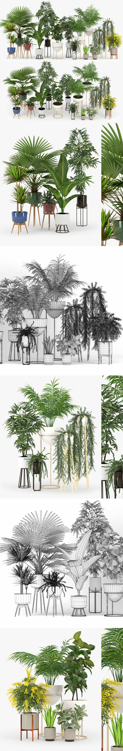 办公室绿植植物3D模型下载 (FBX,OBJ,MAX)