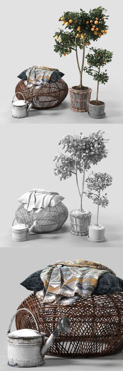 室内桔子树观赏橘绿植植物3D模型下载 (FBX,OBJ,MAX)