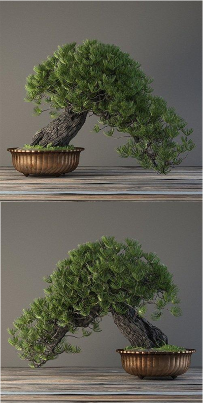 绿植植物3D模型下载 (FBX,OBJ,MAX)