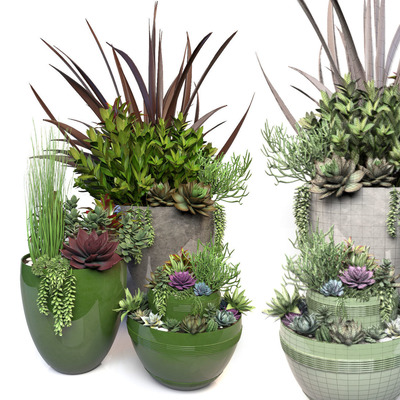 绿植植物3D模型下载 (FBX,OBJ,MAX)