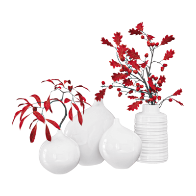 白色花瓶中的红色树枝3D模型（OBJ,FBX,MAX）