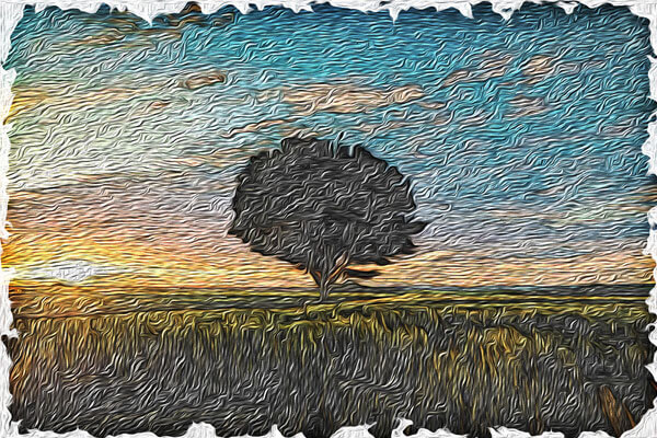 梵高印象派艺术效果照片处理PS动作 (atn)