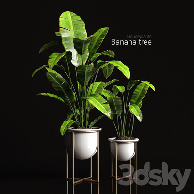 金属支架上的香蕉树盆景3D模型（OBJ,FBX,MAX）