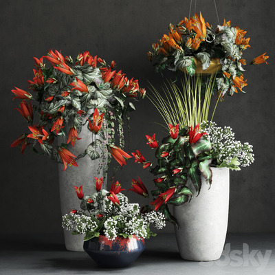 开花的植物盆景组合3D模型（OBJ,FBX,MAX）