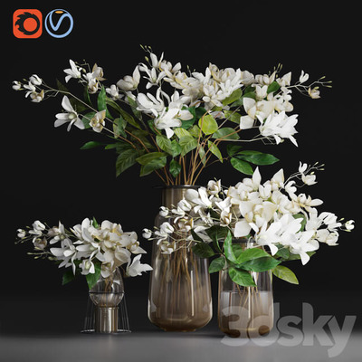 花瓶中的栀子花和茉莉花3D模型（OBJ,FBX,MAX）