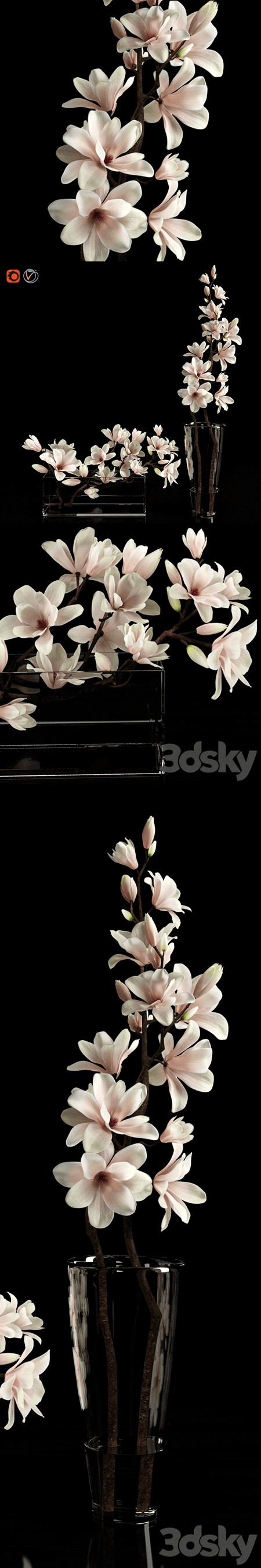 花瓶中的的玉兰花3D模型（OBJ,FBX,MAX）