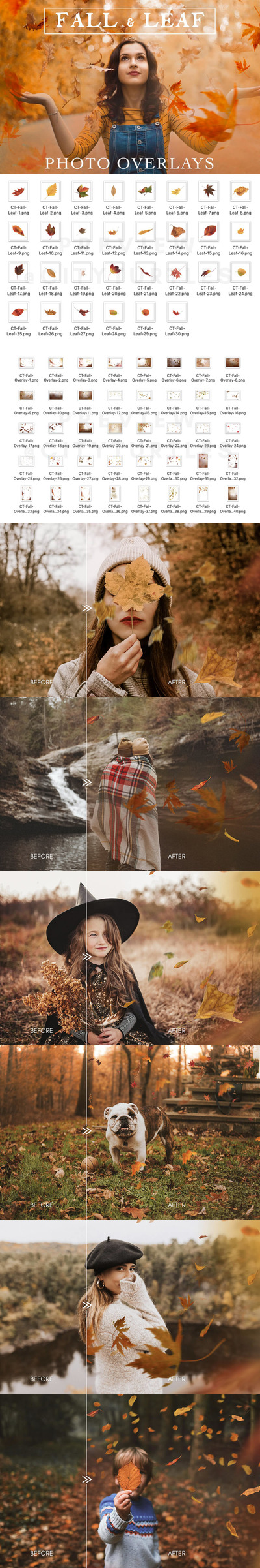 70 个秋季落叶叠层照片素材 (png)
