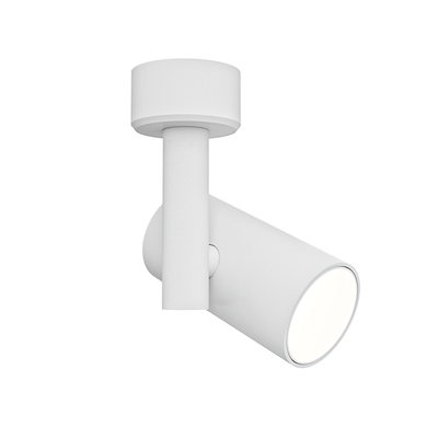 CSU0609白色射灯3D模型（OBJ,FBX,MAX）