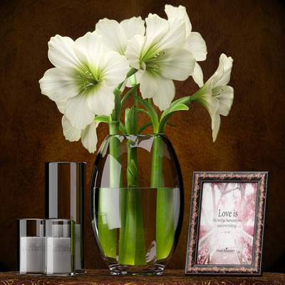 玻璃瓶中的Amaryllis淡黄色孤挺花3D模型（OBJ,FBX,MAX）