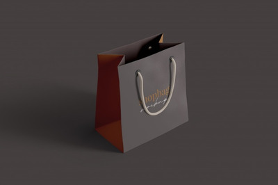 提绳礼品购物袋设计样机[psd]