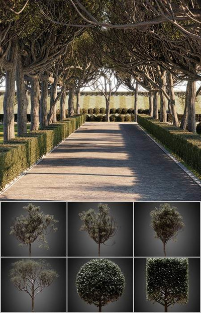 Helios Vegetation树木植物3D模型合集（MAX）