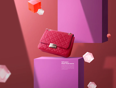 品牌包包电商广告海报视觉设计模板 (psd)