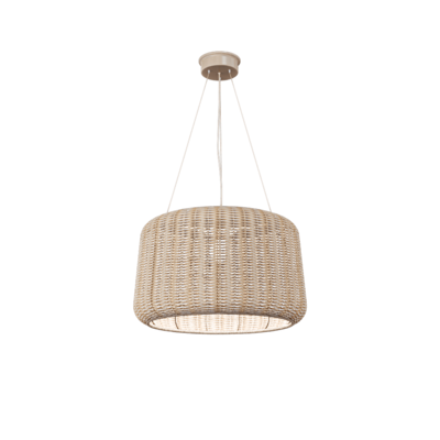 Citrus藤编灯罩吊灯3D模型（OBJ,FBX,MAX）