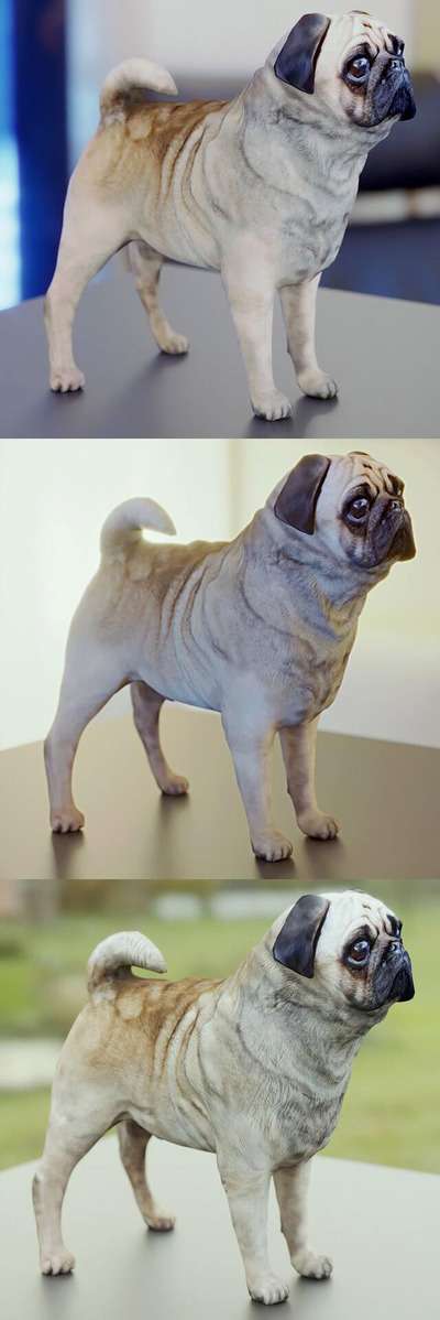 可爱的哈巴狗3D模型（FBX,MAX）