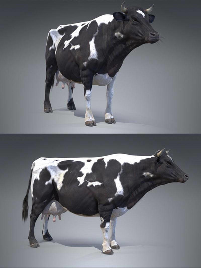 黑白奶牛3D模型（OBJ,FBX,MAX）