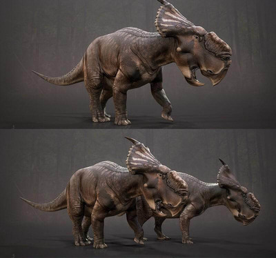 Pachyrhinosaurus sp厚鼻龙3D模型（OBJ,FBX,MAX）