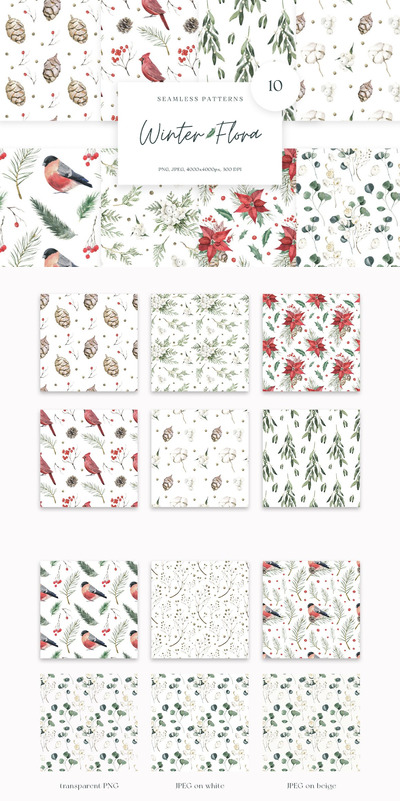 冬季植物花卉图案背景 (JPG,PNG)