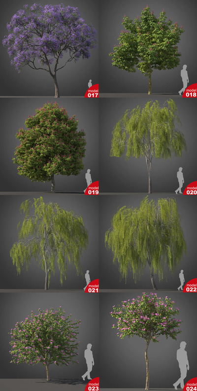 亚热带树木3D模型合集3（MAX）