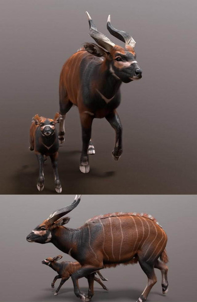 Bongo羚羊3D模型（OBJ,FBX,MAX）