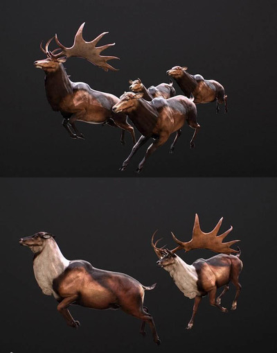 Megaloceros giganteus大角鹿3D模型（OBJ,FBX,MAX）