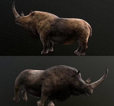 Woolly Rhino批毛犀牛3D模型（OBJ,FBX,MAX）
