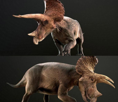 Triceratops三角龙3D模型（OBJ,FBX,MAX）