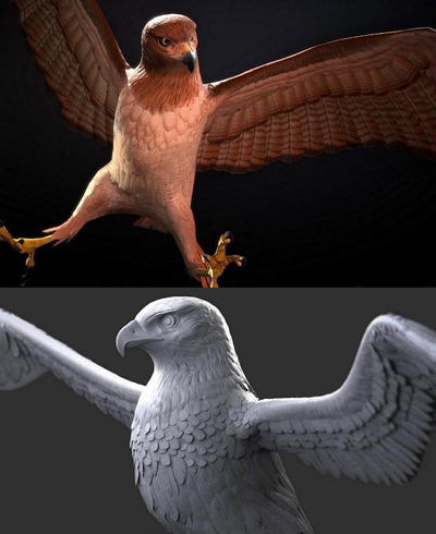 鹰3D模型（OBJ,FBX,MAX）