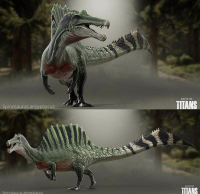 Spinosaurus aegyptiacus棘龙3D模型（OBJ,FBX,MAX）