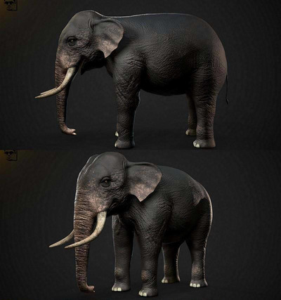 亚洲象3D模型（OBJ,FBX,MAX）